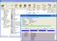 Internet Download Manager screenshot